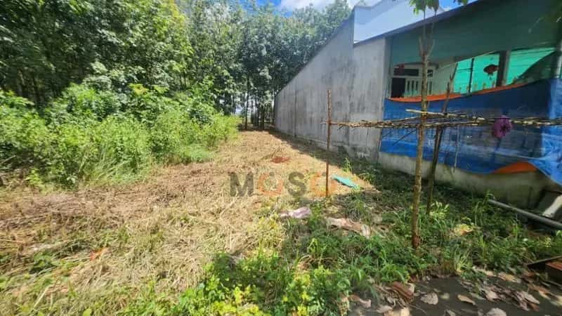 Bán đất Thị xã Phước Long, Bình Phước – giá 131.8 triệu — Hình 2