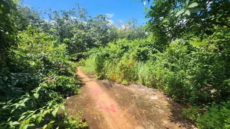 Bán đất Thị xã Phước Long, Bình Phước – giá 148.2 triệu — Hình 3