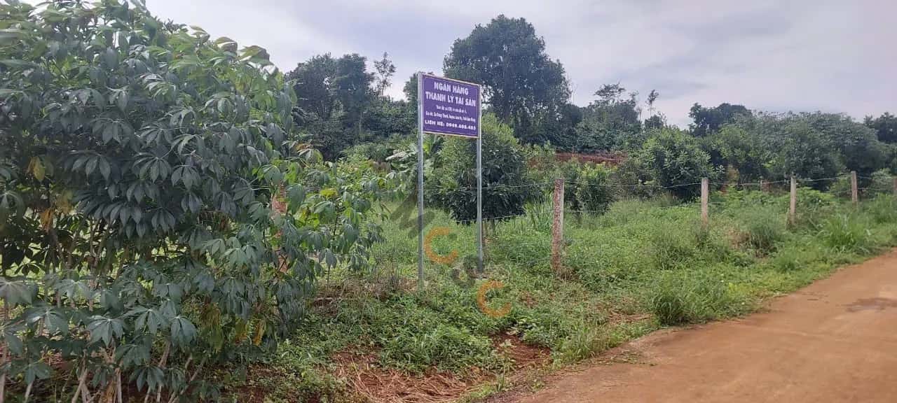 Bán đất Đông Thanh Huyện Lâm Hà, Lâm Đồng – giá 1.2 tỷ — Hình 2