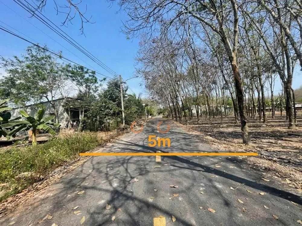 Bán đất Huyện Phú Giáo, Bình Dương – giá 528.1 triệu — Hình 2