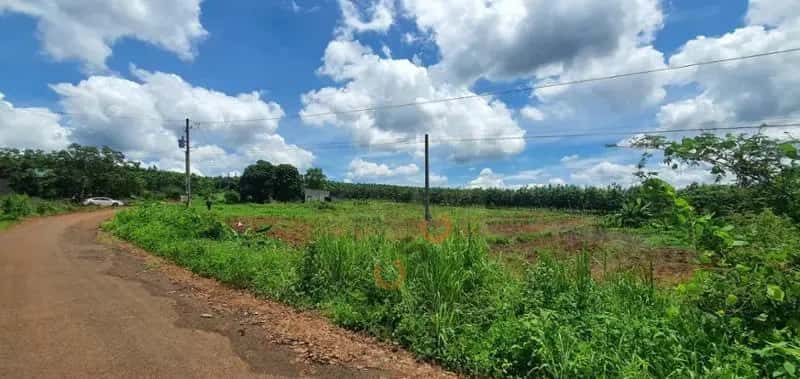Bán đất Unnamed Huyện Bù Gia Mập, Bình Phước – giá 164 triệu — Hình 2