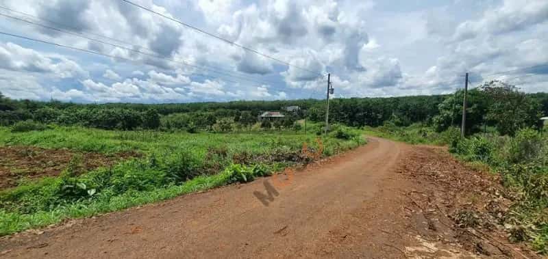 Bán đất Unnamed Huyện Bù Gia Mập, Bình Phước – giá 164 triệu — Hình 3