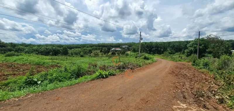 Bán đất Unnamed Huyện Bù Gia Mập, Bình Phước – giá 174 triệu — Hình 2