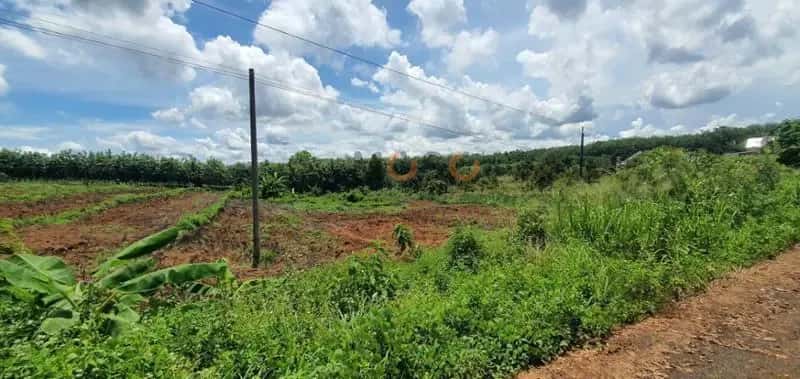 Bán đất Unnamed Huyện Bù Gia Mập, Bình Phước – giá 174 triệu — Hình 3