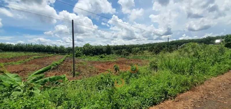Bán đất Unnamed Huyện Bù Gia Mập, Bình Phước – giá 208 triệu — Hình 2
