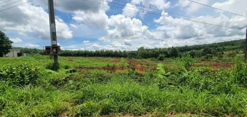 Bán đất Unnamed Huyện Bù Gia Mập, Bình Phước – giá 208 triệu — Hình 3