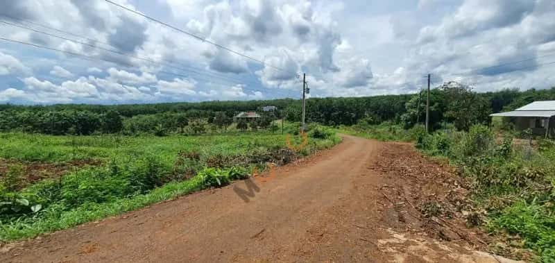 Bán đất Unnamed Huyện Bù Gia Mập, Bình Phước – giá 241 triệu — Hình 2