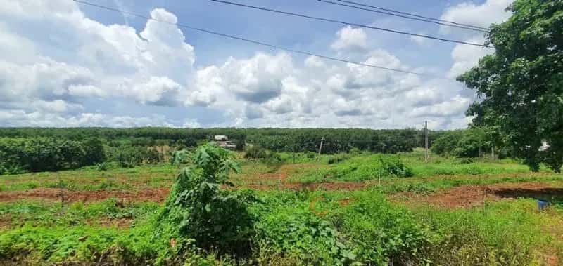 Bán đất Unnamed Huyện Bù Gia Mập, Bình Phước – giá 241 triệu — Hình 3
