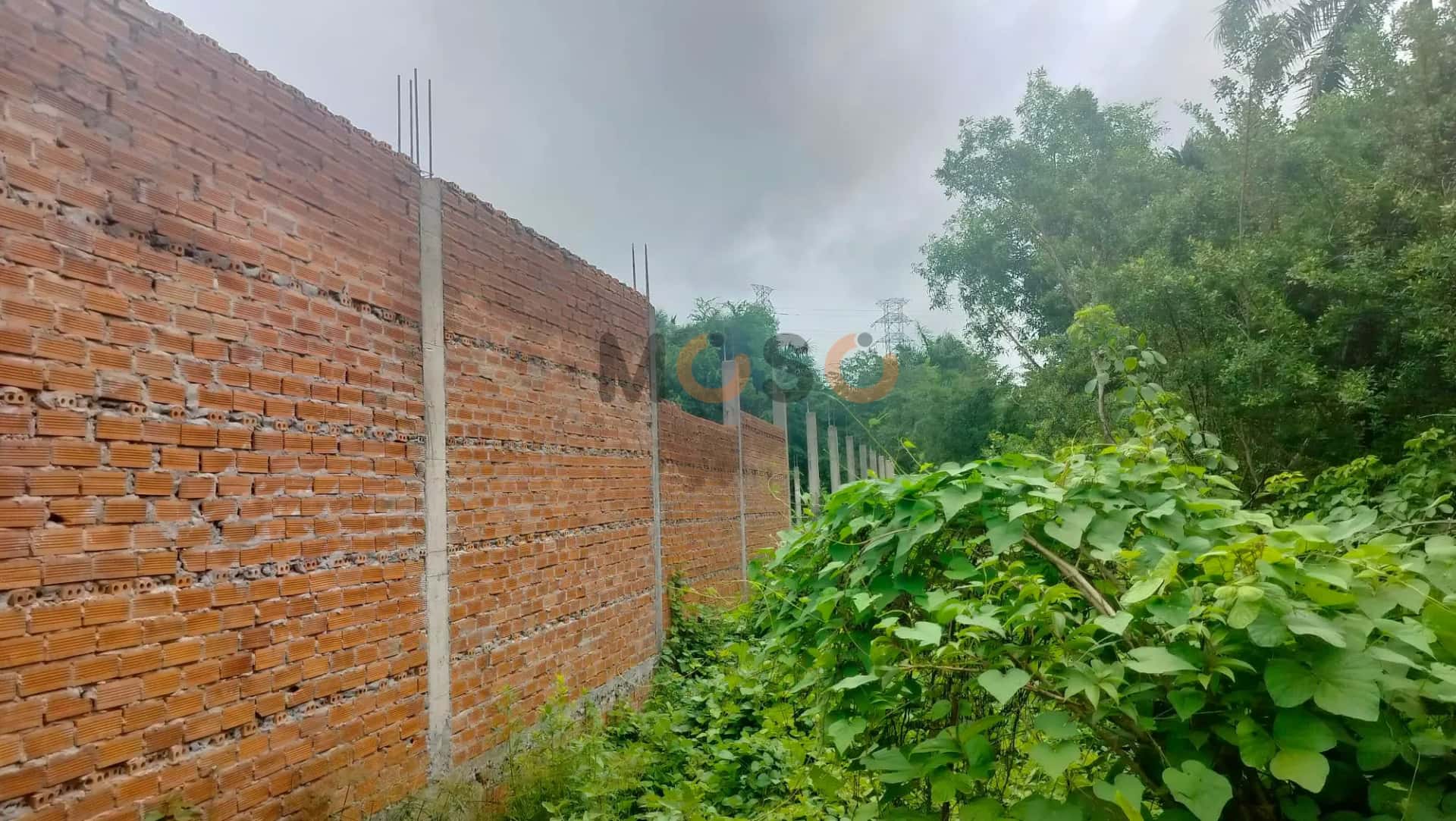 Bán đất Quốc lộ 1A Thành phố Sóc Trăng, Sóc Trăng – giá 2.4 tỷ — Hình 3
