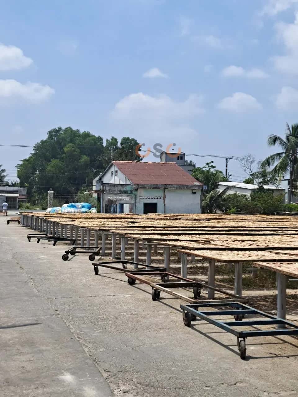 Bán đất Huyện Châu Thành, Kiên Giang – giá 2.5 tỷ — Hình 3