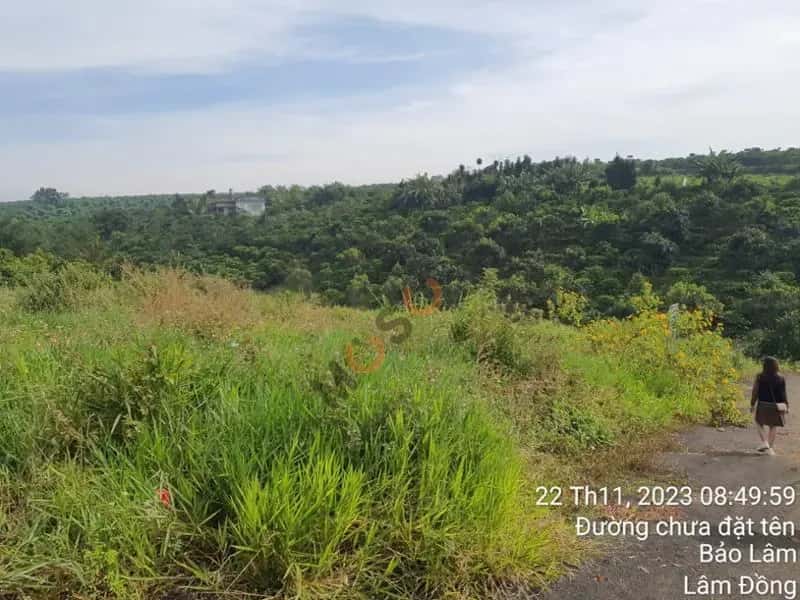 Bán đất Huyện Bảo Lâm, Lâm Đồng – giá 313 triệu — Hình 3