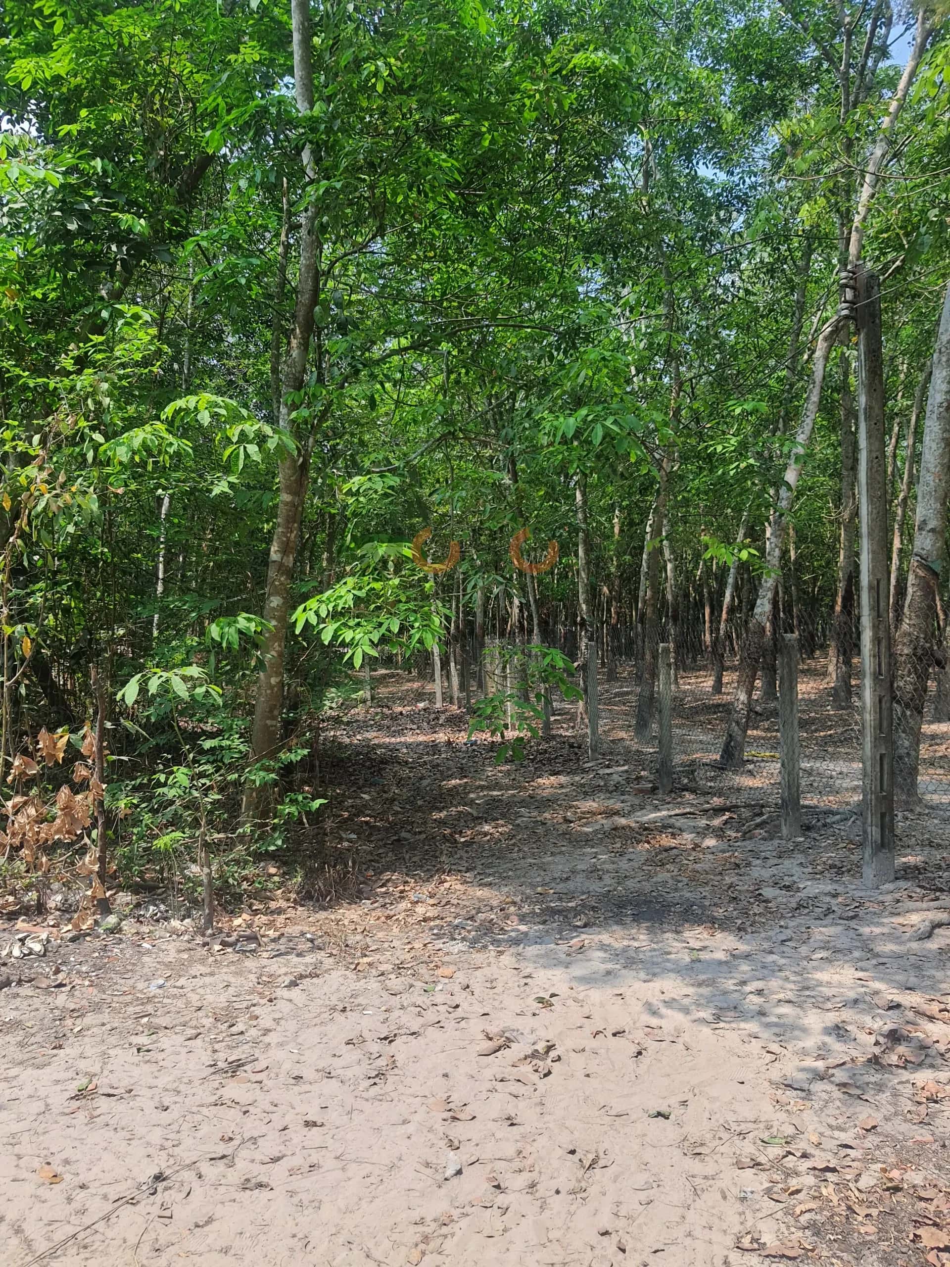 Bán đất Huyện Gò Dầu, Tây Ninh – giá 232 triệu — Hình 2