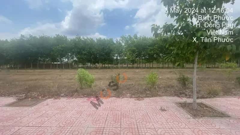 Bán đất Huyện Đồng Phú, Bình Phước – giá 346 triệu — Hình 3