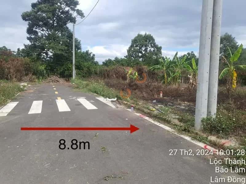 Bán đất Huyện Bảo Lâm, Lâm Đồng – giá 297 triệu — Hình 2