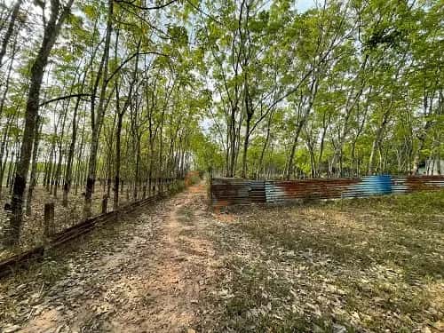 Bán đất Khu Phố 5 Huyện Dầu Tiếng, Bình Dương – giá 3.4 tỷ — Hình 2
