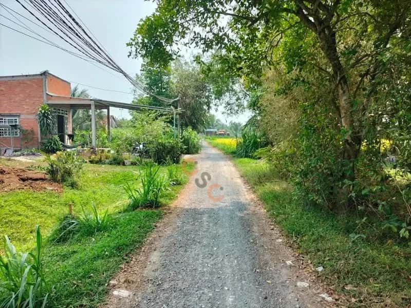 Bán đất Gò Sao Đức Hòa, Long An – giá 1.7 tỷ — Hình 3