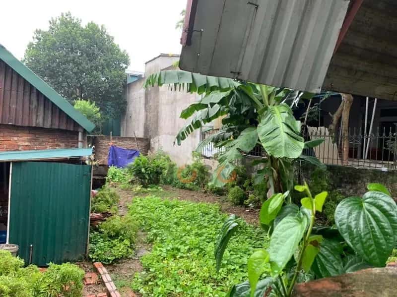 Bán đất Phố Tô Hiến Thành Quận Hà Đông, TP. Hà Nội – giá 1.4 tỷ — Hình 2