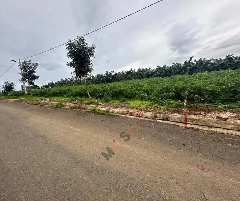 Bán đất Huyện Bảo Lâm, Lâm Đồng – giá 287 triệu — Hình 2