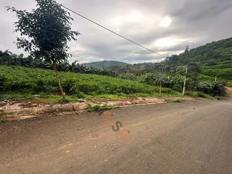 Bán đất Huyện Bảo Lâm, Lâm Đồng – giá 287 triệu — Hình 3