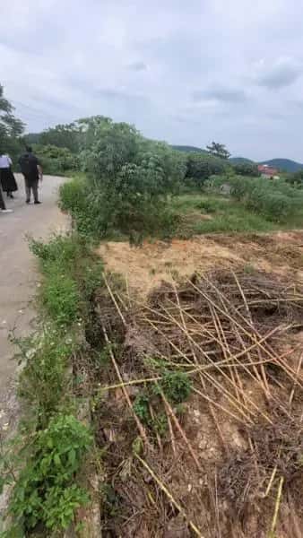 Bán đất Huyện Quế Võ, Bắc Ninh – giá 1.3 tỷ — Hình 3