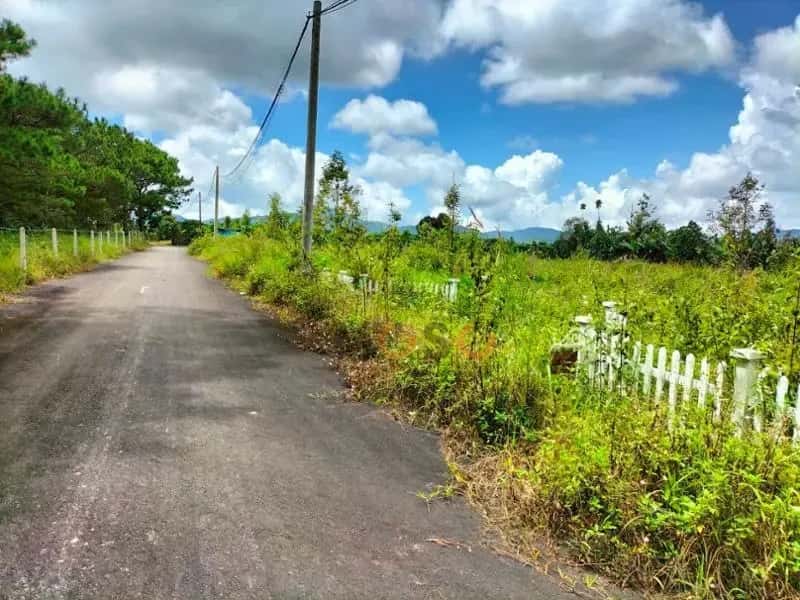 Bán đất Thành phố Bảo Lộc, Lâm Đồng – giá 810 triệu — Hình 3