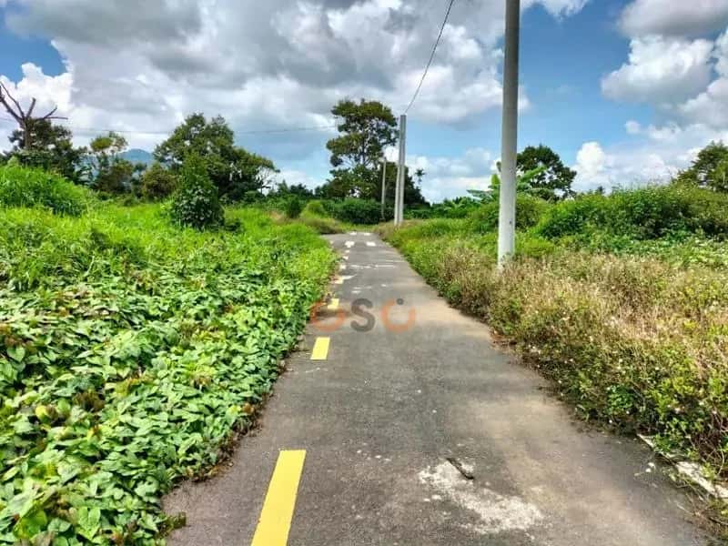 Bán đất Huyện Bảo Lâm, Lâm Đồng – giá 343 triệu — Hình 2