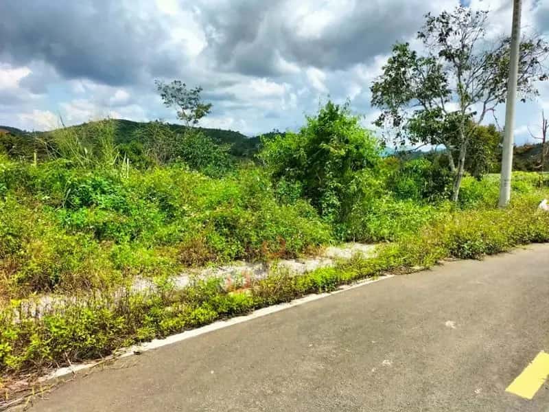 Bán đất Huyện Bảo Lâm, Lâm Đồng – giá 343 triệu — Hình 3