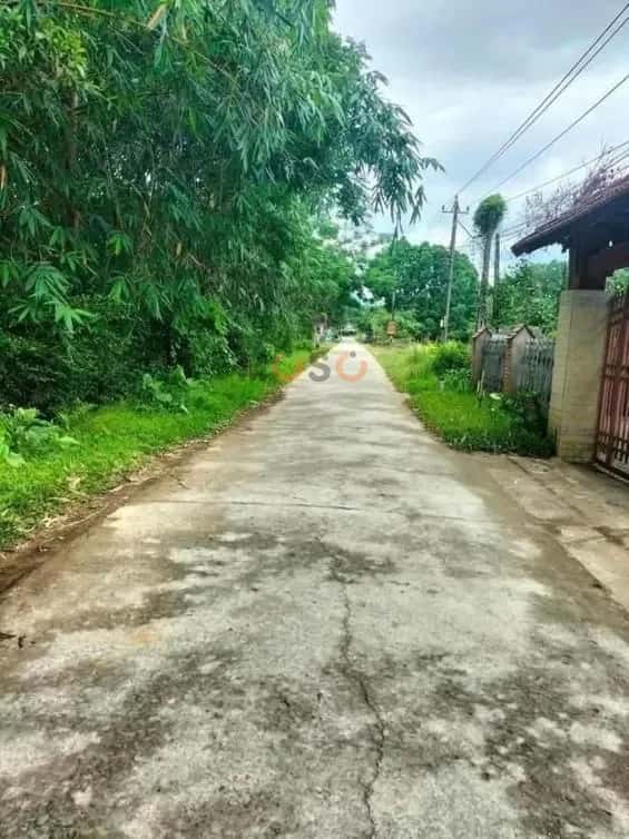 Bán đất Phú Lộc, Thừa Thiên Huế – giá 852 triệu — Hình 2