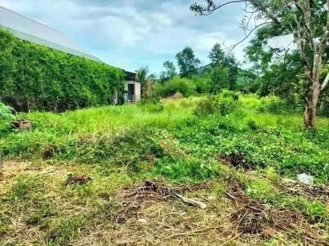 Bán đất Phú Lộc, Thừa Thiên Huế – giá 1.1 tỷ — Hình 3