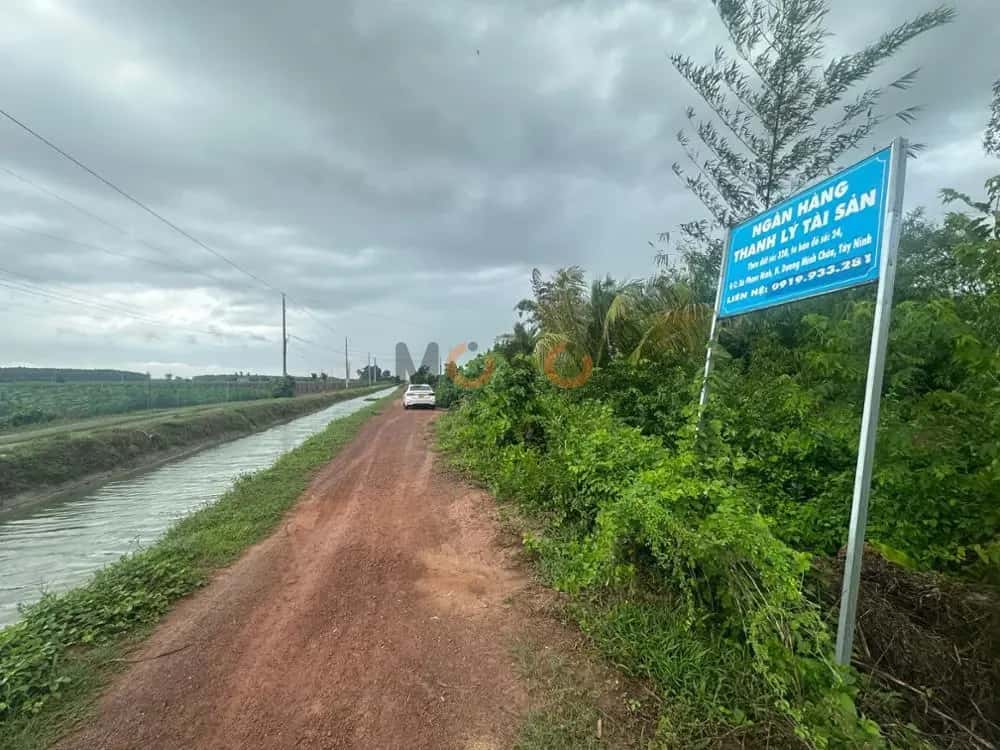 Bán đất Huyện Dương Minh Châu, Tây Ninh – giá 579 triệu — Hình 2