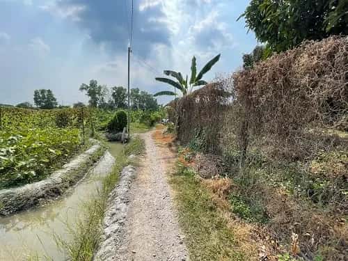 Bán đất Thủ Dầu Một, Bình Dương – giá 1.7 tỷ — Hình 3