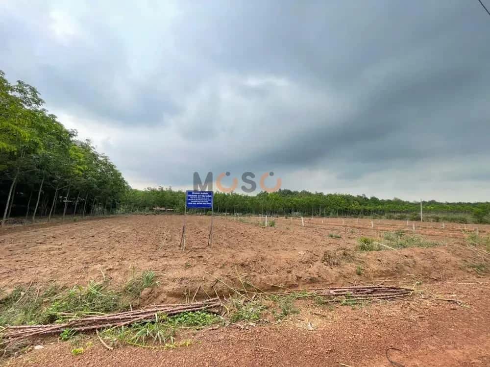 Bán đất Huyện Phú Giáo, Bình Dương – giá 1.6 tỷ — Hình 2