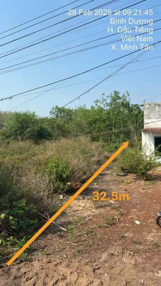 Bán đất Dầu Tiếng, Bình Dương – giá 1.3 tỷ — Hình 3