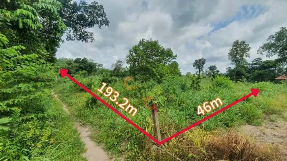 Bán đất Dầu Tiếng, Bình Dương – giá 1.6 tỷ — Hình 2