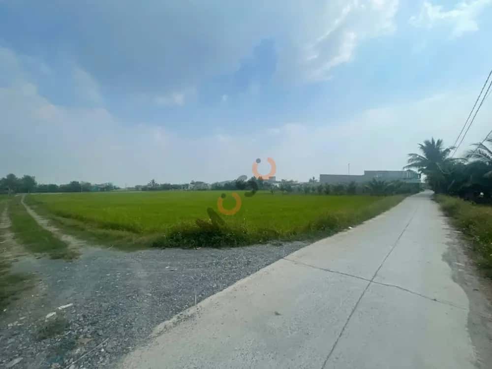 Bán đất Đức Hòa, Long An – giá 1.4 tỷ — Hình 3
