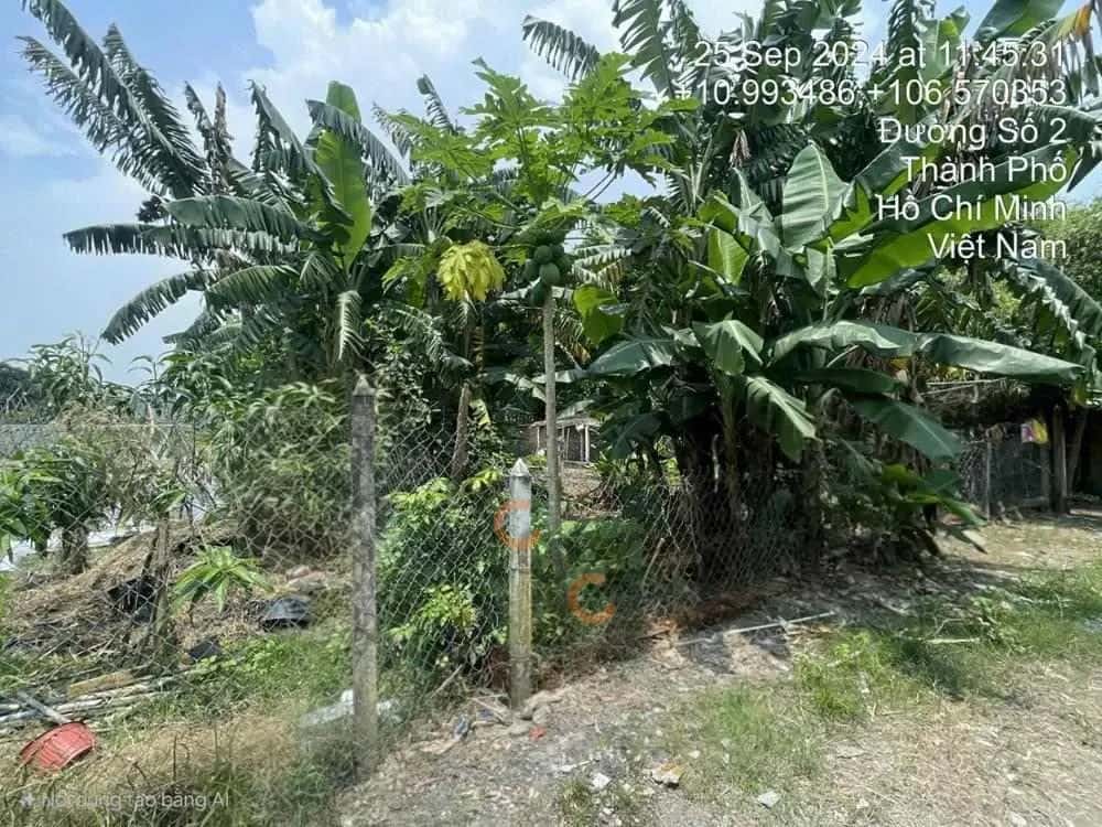 Bán đất Củ Chi, TP. Hồ Chí Minh – giá 825.1 triệu — Hình 2