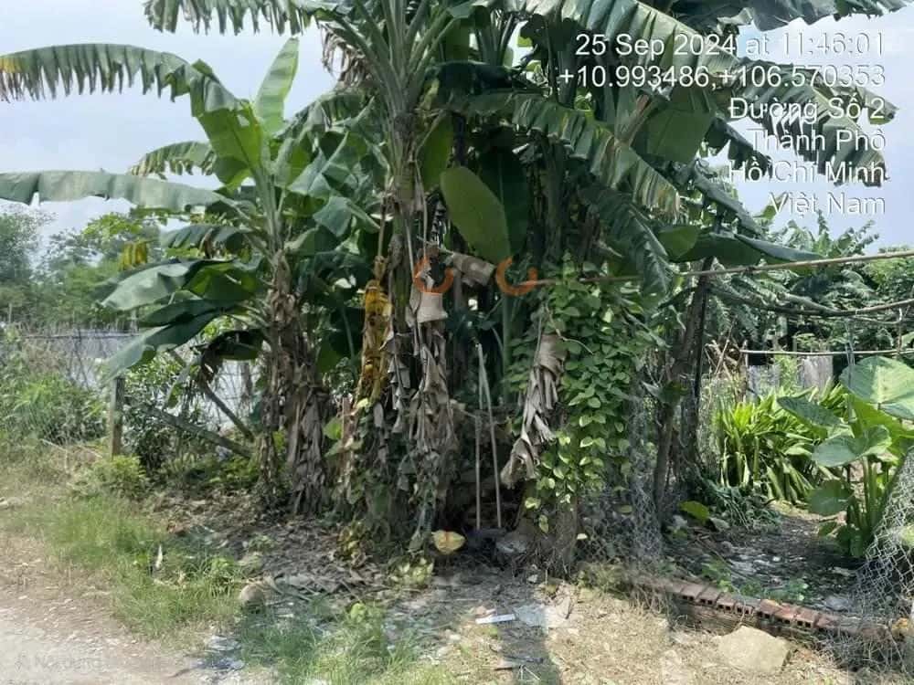 Bán đất Củ Chi, TP. Hồ Chí Minh – giá 825.1 triệu — Hình 3