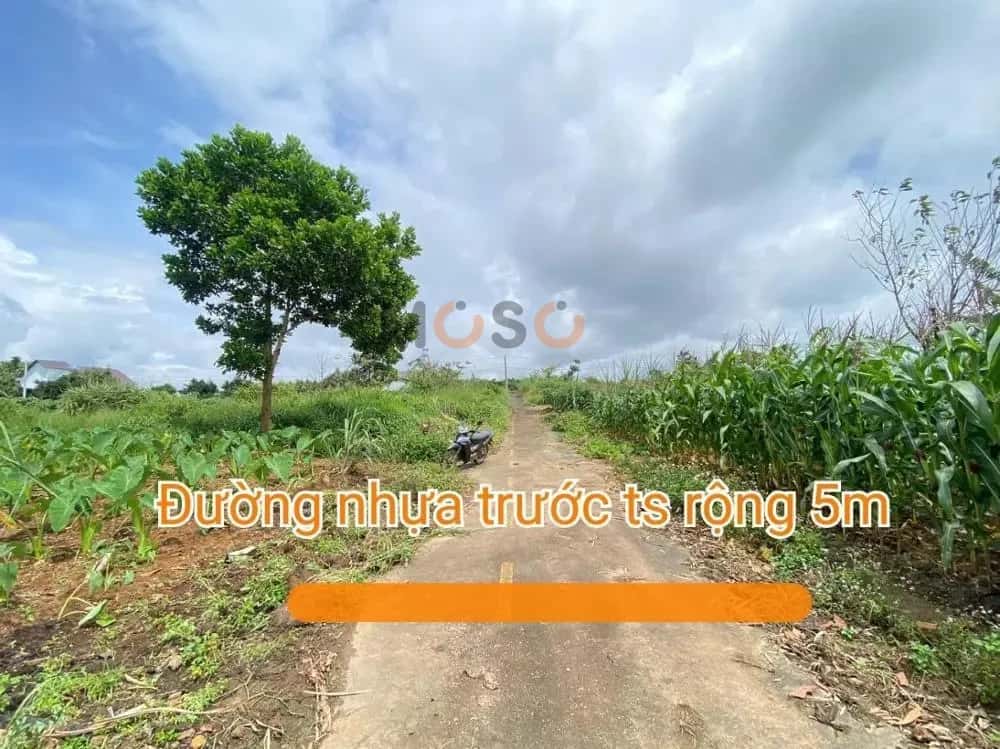 Bán đất Bảo Lộc, Lâm Đồng – giá 1 tỷ — Hình 2