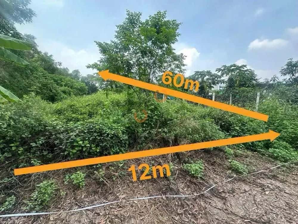 Bán đất Thị xã Bến Cát, Bình Dương – giá 4.2 tỷ — Hình 2