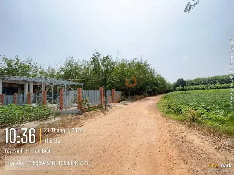Bán đất Huyện Tân Biên, Tây Ninh – giá 173 triệu — Hình 3