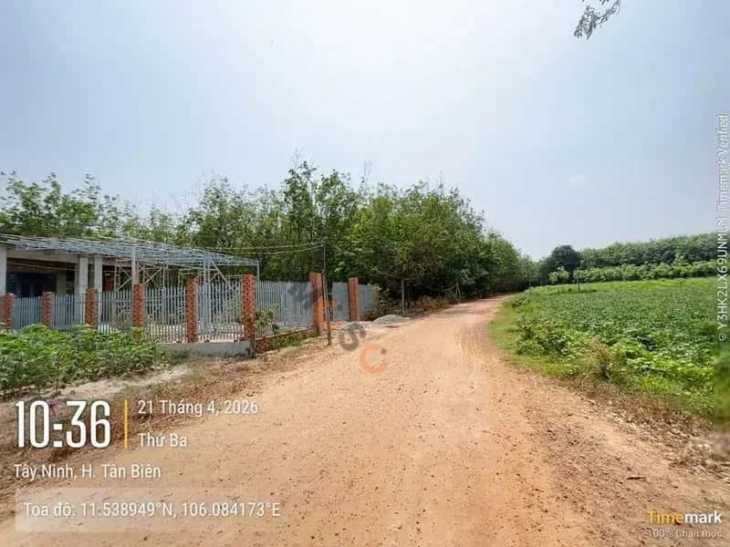 Bán đất Huyện Tân Biên, Tây Ninh – giá 182 triệu — Hình 3
