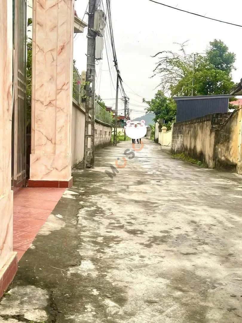 Bán đất Thôn 4 Thành phố Thuỷ Nguyên, TP. Hải Phòng – giá 1.9 tỷ — Hình 2
