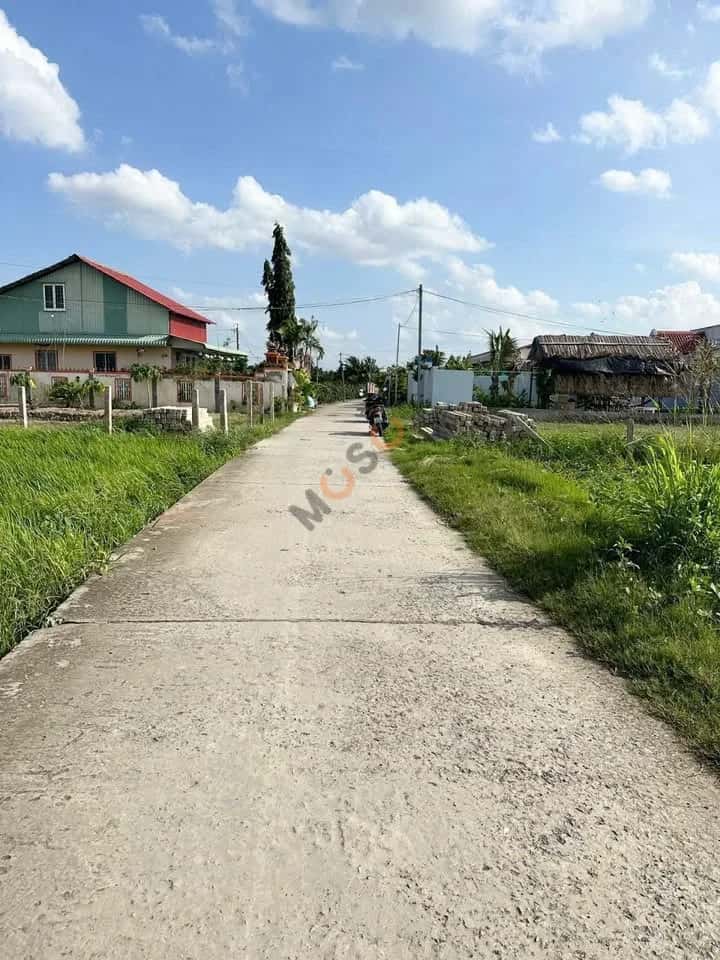Bán đất Ấp 5 Huyện Châu Thành, Long An – giá 499 triệu — Hình 2