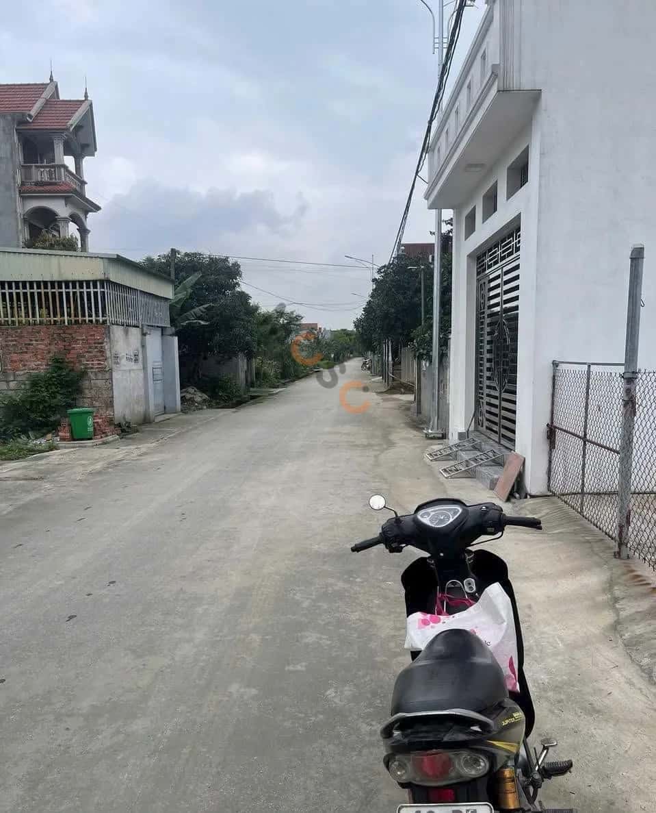 Bán đất Thôn Đền Thành phố Thuỷ Nguyên, TP. Hải Phòng – giá 4.9 tỷ — Hình 3