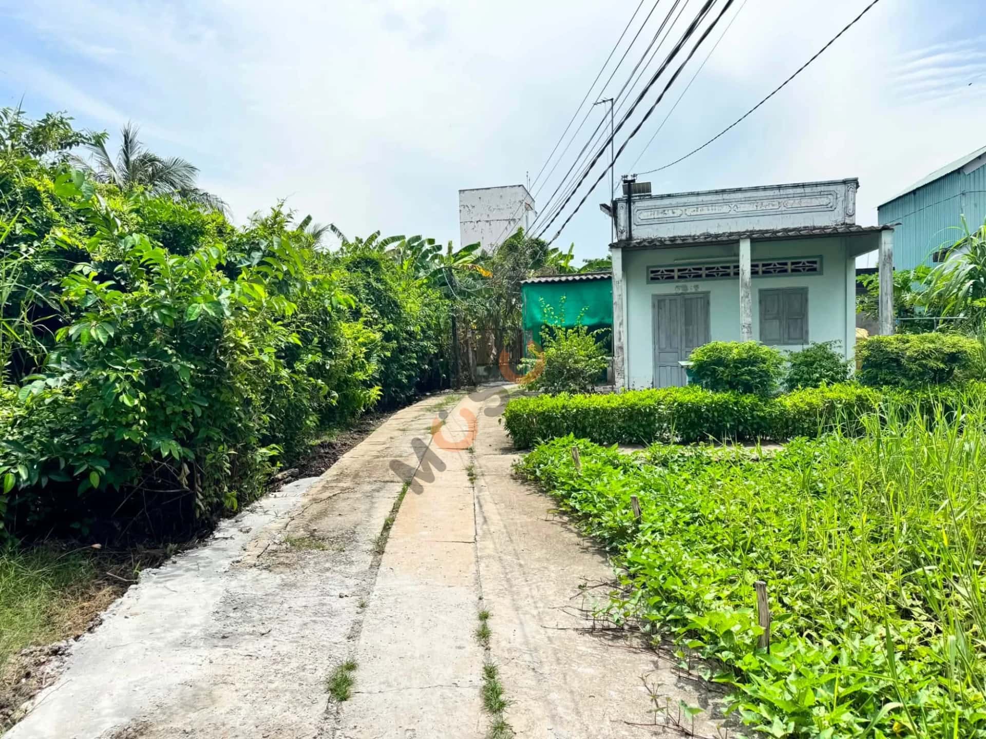Bán đất Ấp 2B Huyện Cần Đước, Long An – giá 500 triệu — Hình 3