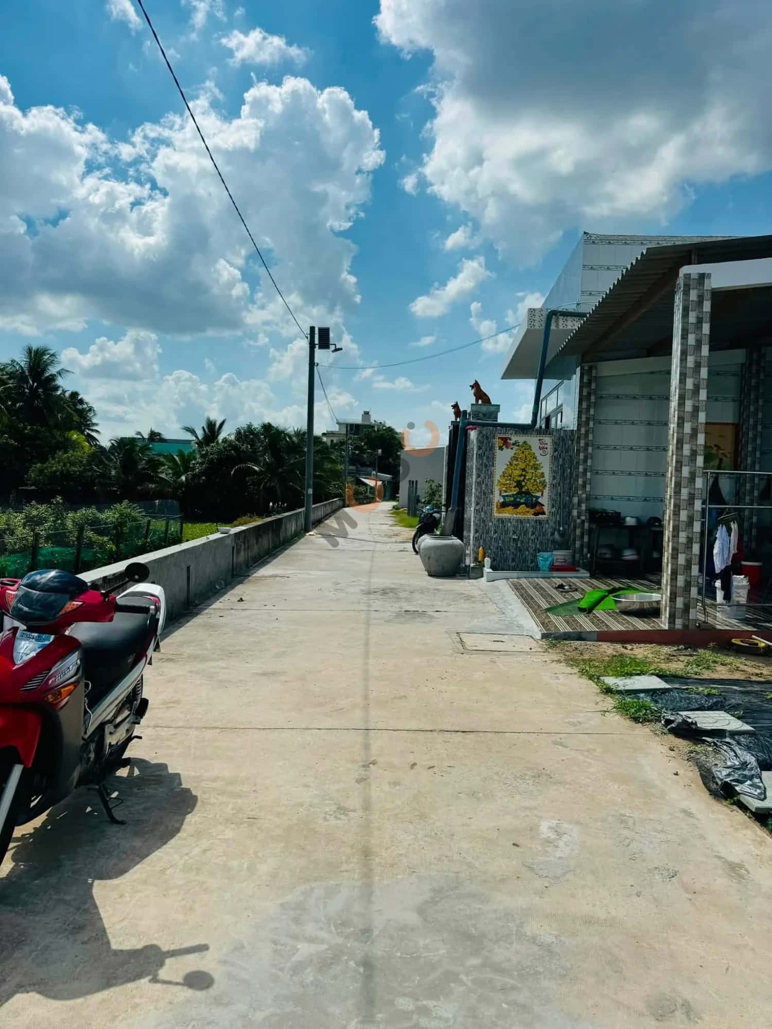 Bán đất Ấp 3 Huyện Thủ Thừa, Long An – giá 850 triệu — Hình 3
