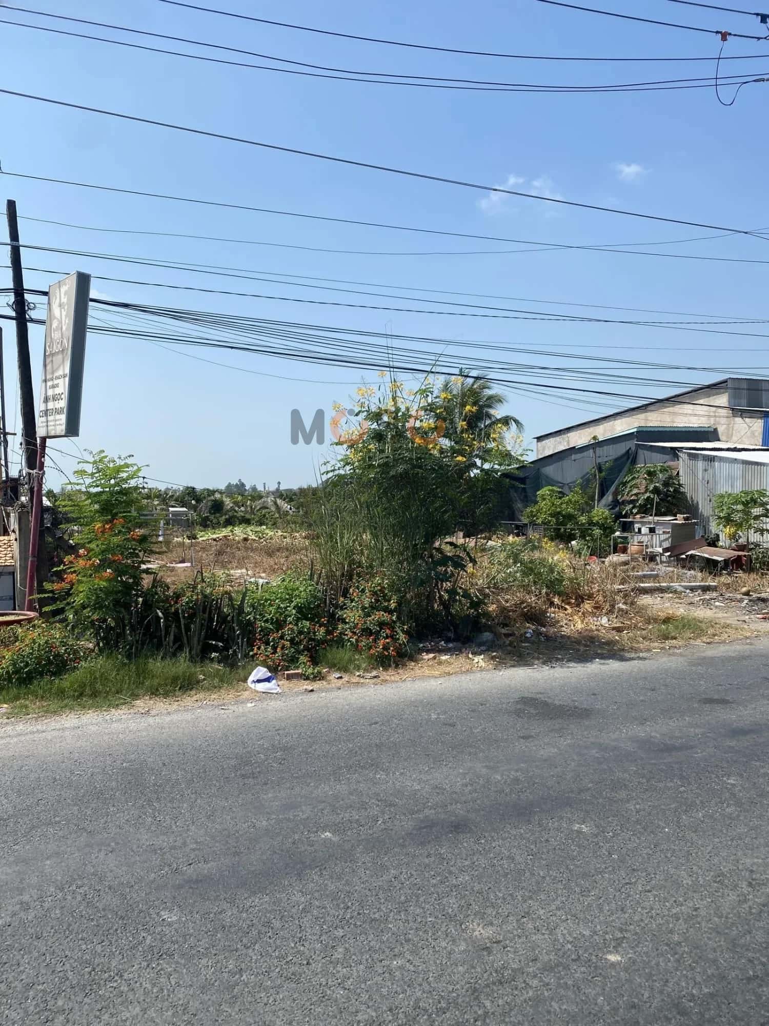 Bán đất đường ĐT 844 Huyện Tam Nông, Đồng Tháp – giá 5 tỷ — Hình 2