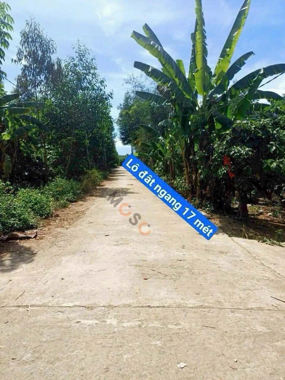 Bán đất Thôn Cá Thiêu Huyện Khánh Vĩnh, Khánh Hòa – giá 650 triệu — Hình 2