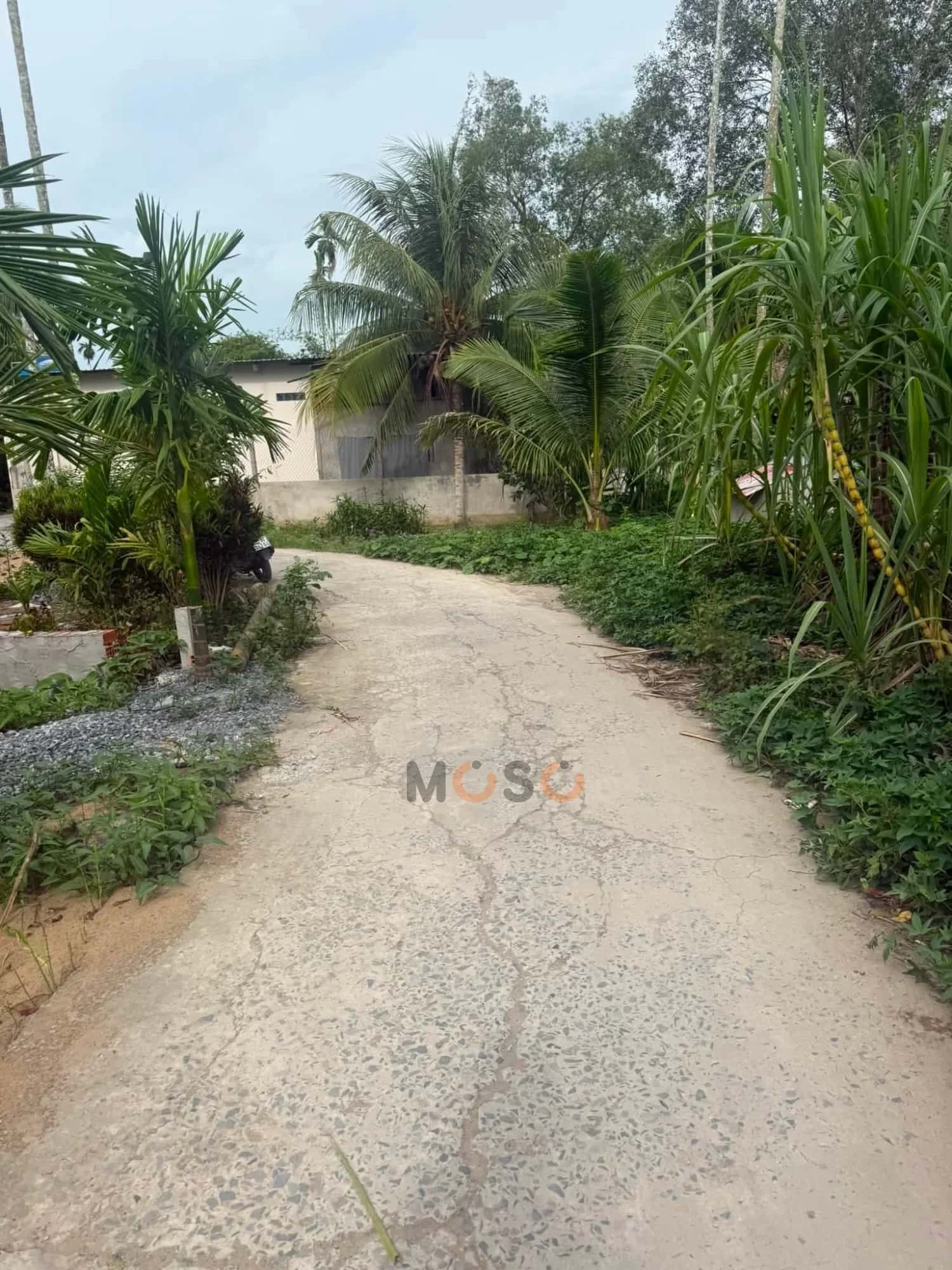 Bán đất Rạch Trà Niền Lớn Huyện Phong Điền, TP. Cần Thơ – giá 690 triệu — Hình 3