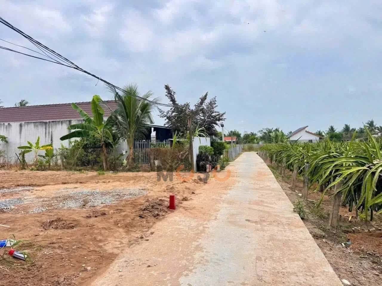 Bán đất Hẻm Châu Thị Kim Thành phố Tân An, Long An – giá 520 triệu — Hình 2